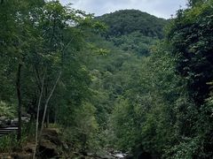 -广州白江湖森林公园