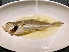油盐水蒸中黄鱼-广舟(千禧店)