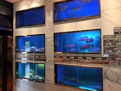 -阳光码头海鲜火锅(世纪大道店)