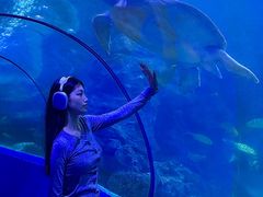 -左海海底世界