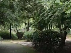 -尚贤河湿地