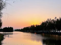 -艾溪湖湿地公园
