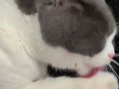 -司乎(MOMOPARK店)