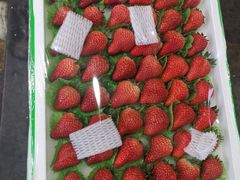 -西郊国际农产品交易中心