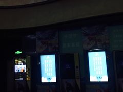 -万达影城(汉街万达广场IMAX店)