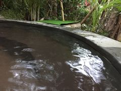 红酒池-碧桂园润杨溪谷温泉酒店