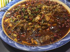-新概念来凤鱼(璧山店)