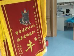 -博特宠物医院24h犬猫全科.骨科·异宠