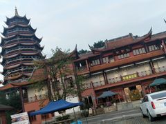 -铁山坪森林公园