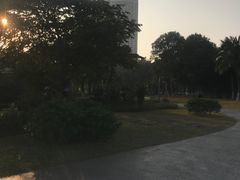 -万绿园