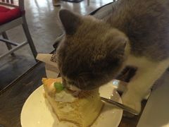 iphone_upload_pic-MIKAKU(万达广场上海宝山店)