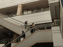 -上海市东方医院(总院)