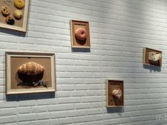 -流酥可心·牛乳蛋糕商店(禾祥西路店)