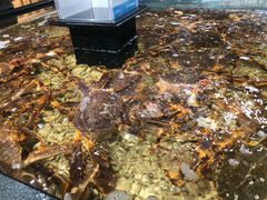 -盒马鲜生(曜一城店)