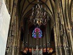 -斯蒂芬主教座堂(Stephansdom)