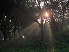 -迪茵湖田家舍生态农场