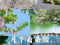 -全季酒店(重庆上清寺牛角沱地铁站店)