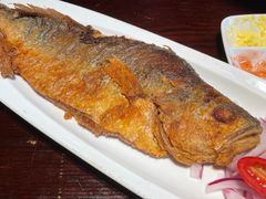 -马迭尔德式西餐精酿啤酒屋(中央大街店)