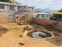 -西霞口神雕山野生动物世界