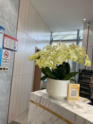 -奥本瑜伽·普拉提