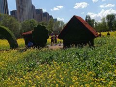 -长白岛森林公园