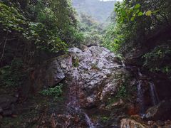 -天门沟九州驿站树上汤泉