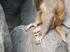 -石燕湖生态旅游景区