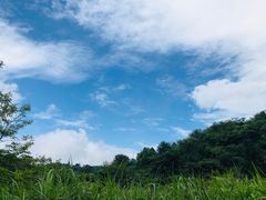 -大罗山风景区