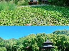 -天目湖涵田度假村