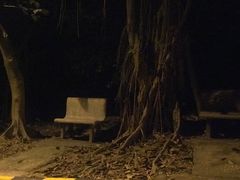 -大雁山风景区
