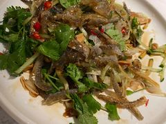 -大榕树下顺德菜(融创茂店)