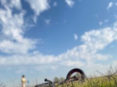 -汉长安城未央宫国家考古遗址公园