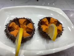 -小海丁
