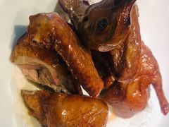 红烧乳鸽-陶陶居酒家(海岸城店)