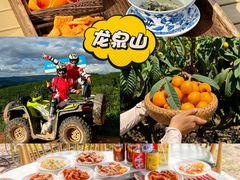 -三圣花乡旅游区