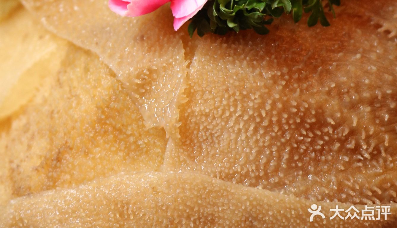 [种草][种草]12种甜品畅吃