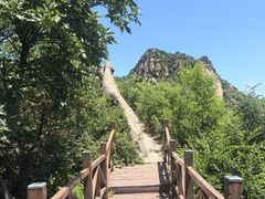 -大岭沟猕猴桃谷风景区