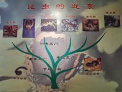 -上海昆虫博物馆