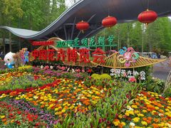 -东平国家森林公园