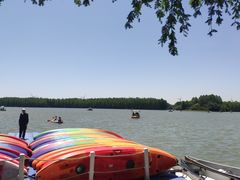 -上海海湾国家森林公园