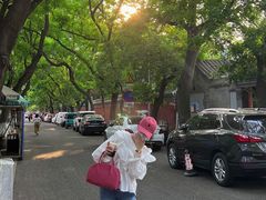 -北京国子监胡同