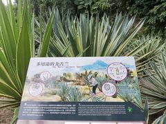 -深圳仙湖植物园