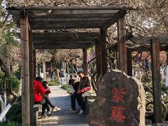 -黄桥古镇