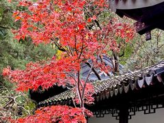 -复旦大学附属华山医院(总院)