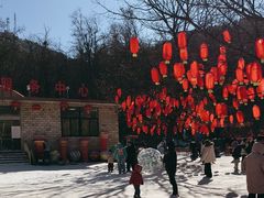 -鲁山国家森林公园