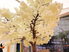 -艾薯夫妇Aysh(福田星河COCOPark店)