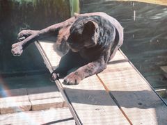 -青藏高原野生动物园