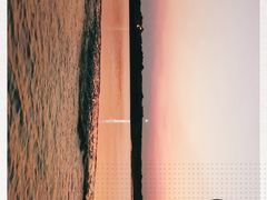 -洞里萨湖