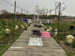 -嘉北郊野公园