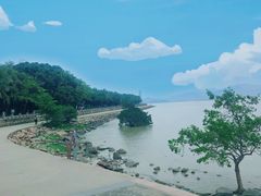 -深圳湾公园(南山区)